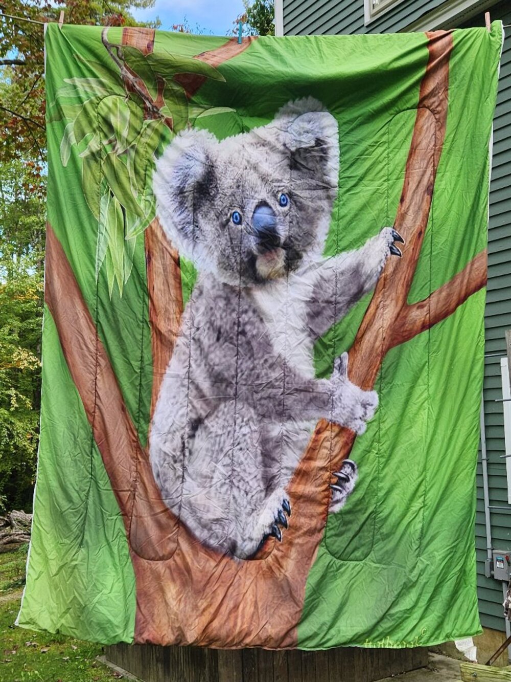 Twin Xl Koala Comforter